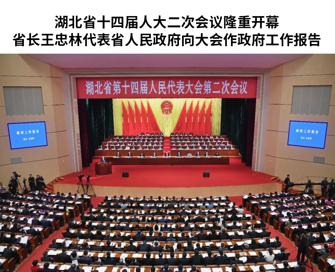微特董事长聂道静参加湖北省第十四届人大二次会议并发言